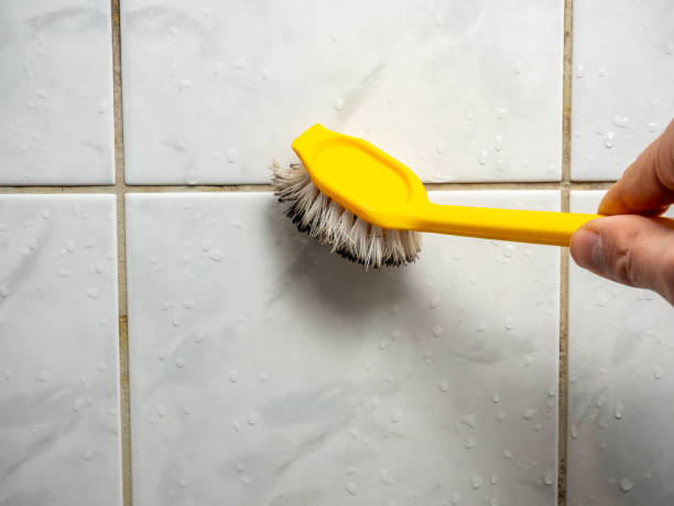 Best Commercial Mold Remediation in Ashland, AL